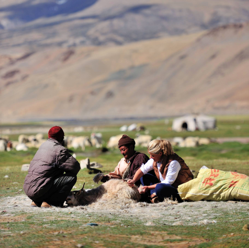 the Tibetan nomads comb their goats